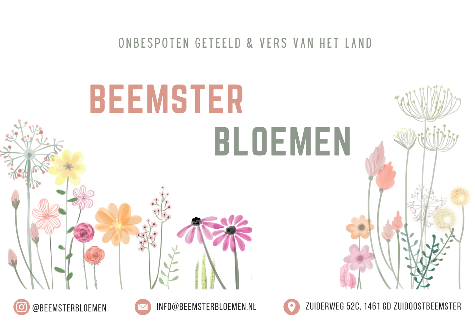bord met informatie over beemsterbloemen